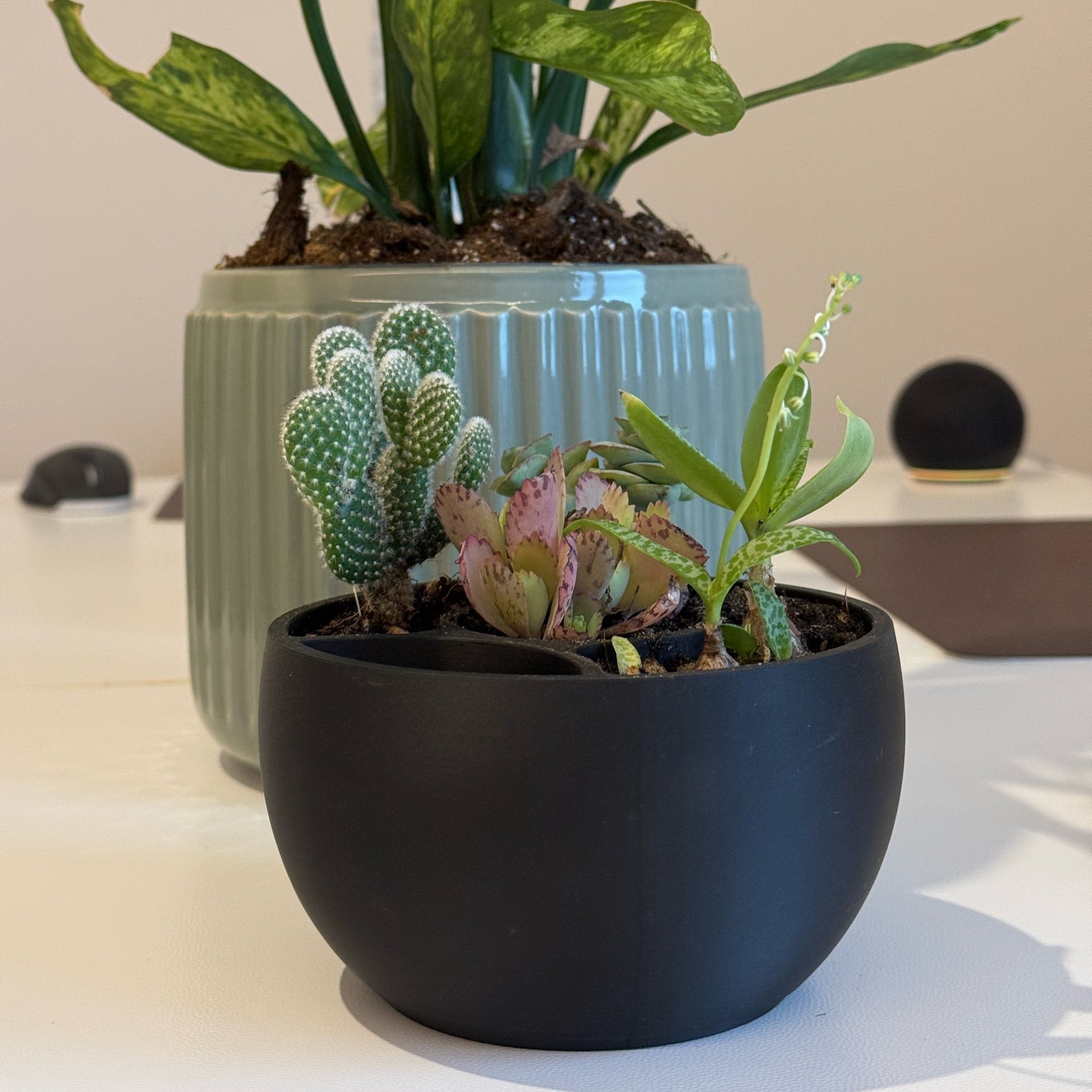 Round Self Watering Design Planter