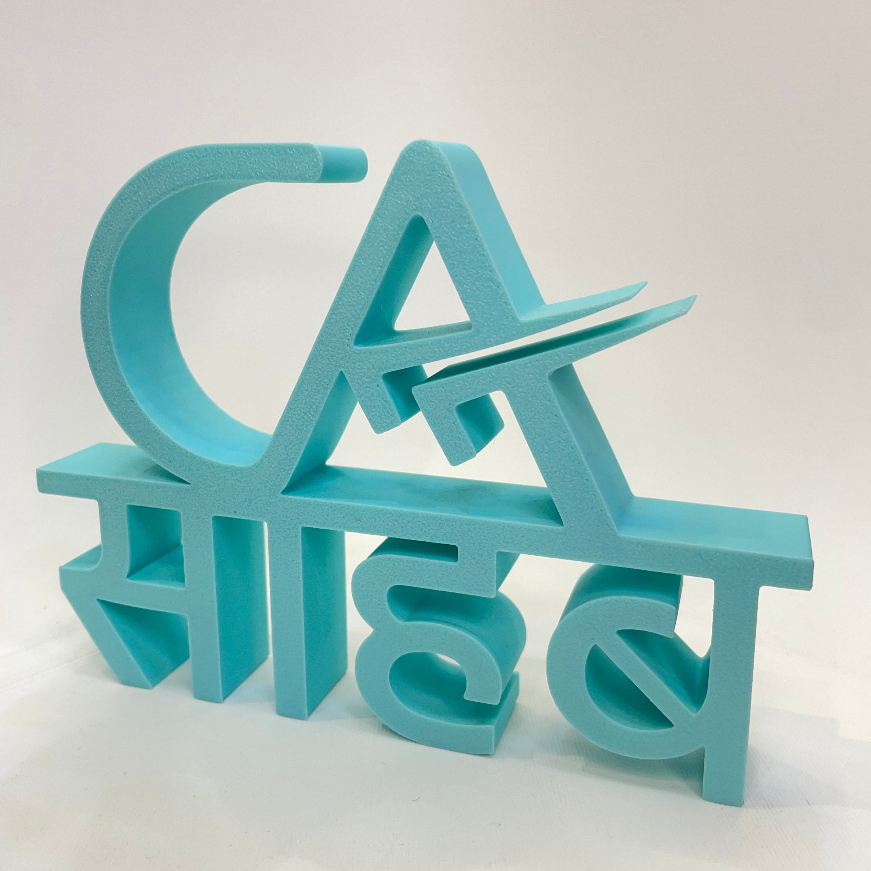 CA Sahab