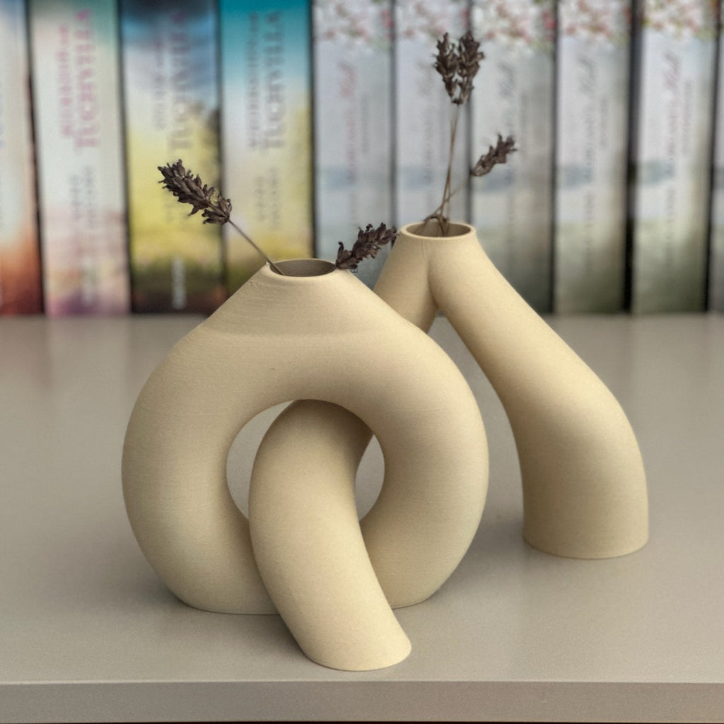 Interlocking Toroidal Vases Minimalist Masterpiece