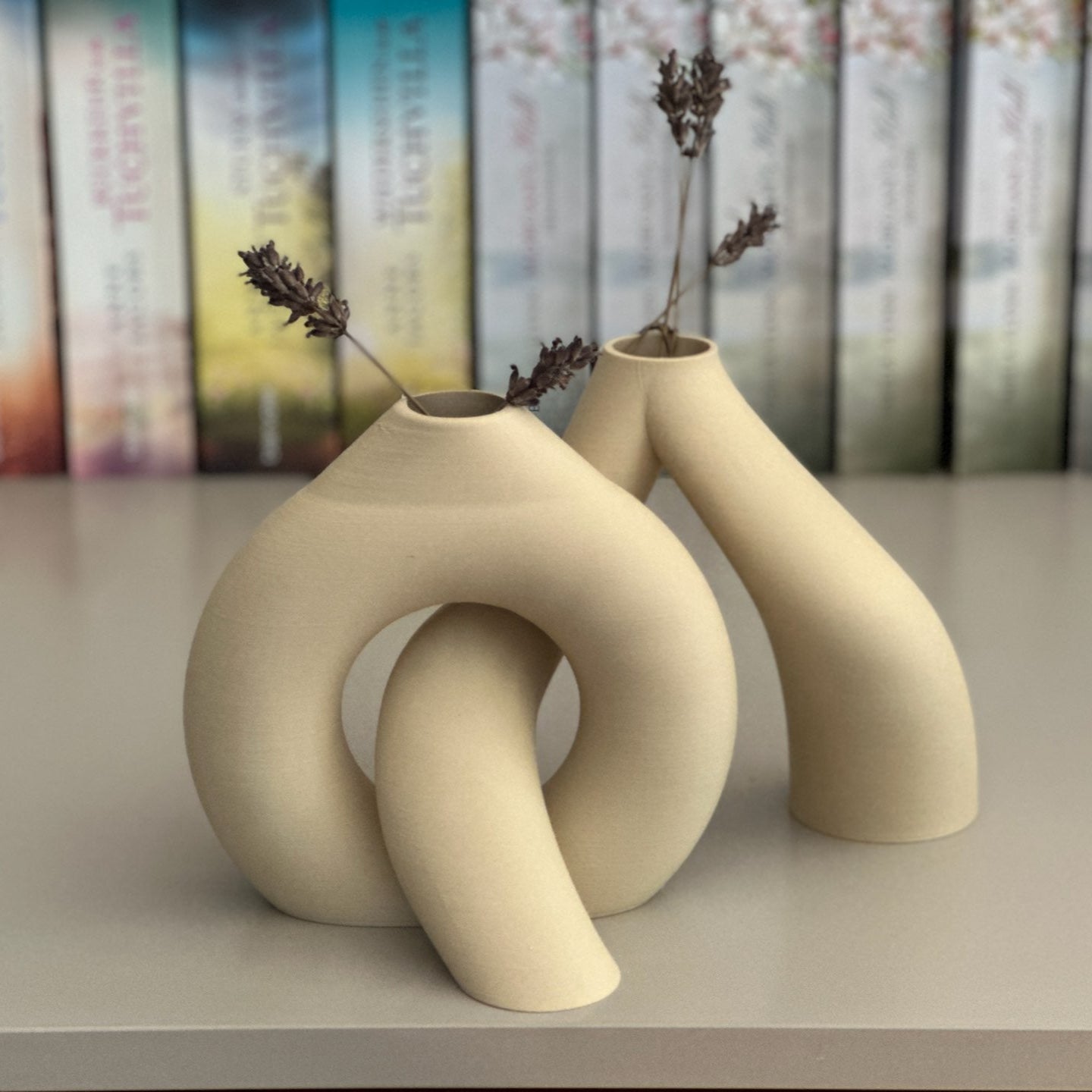 Interlocking Toroidal Vases Minimalist Masterpiece