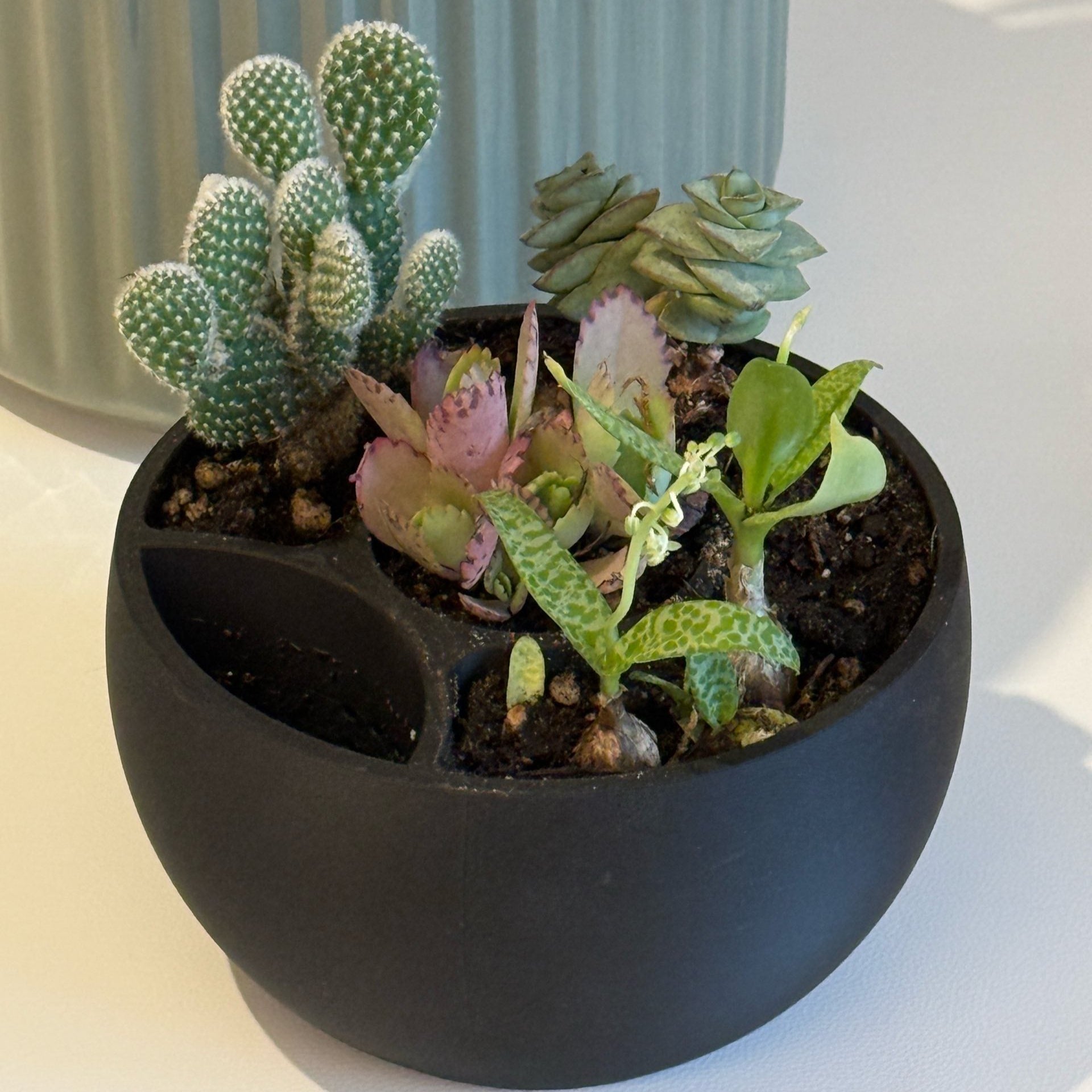 Round Self Watering Design Planter