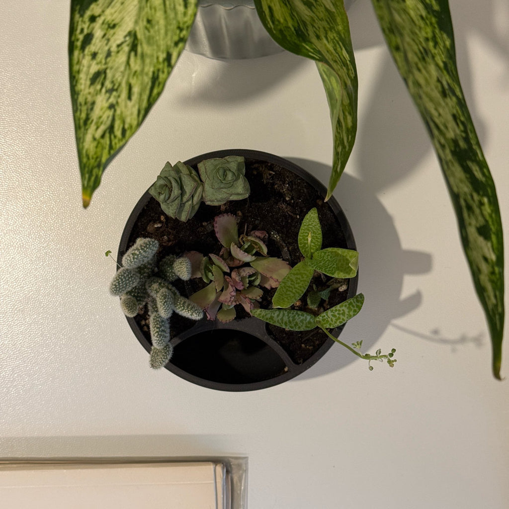Round Self Watering Design Planter
