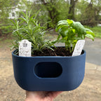 Self Watering Design Planter