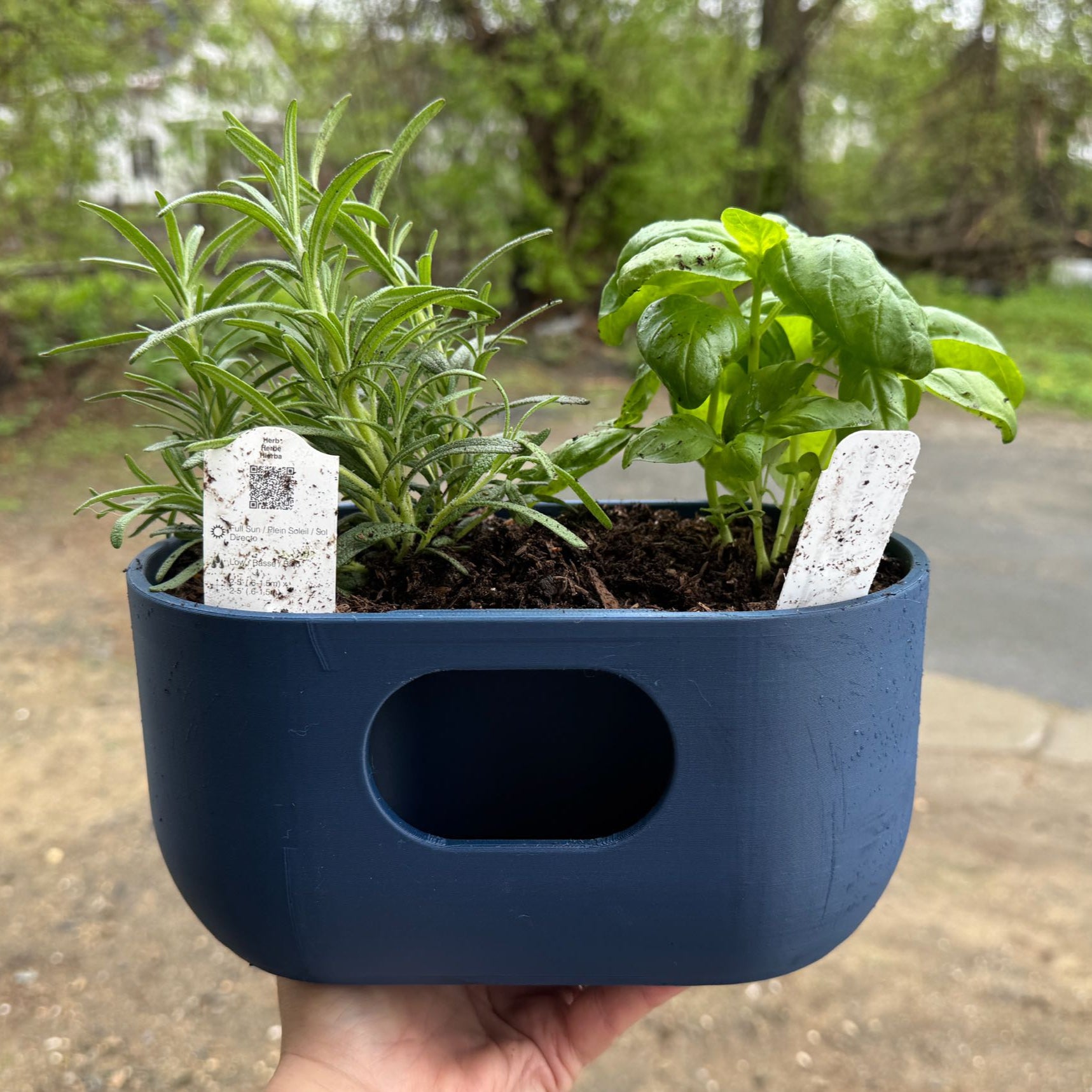 Self Watering Design Planter