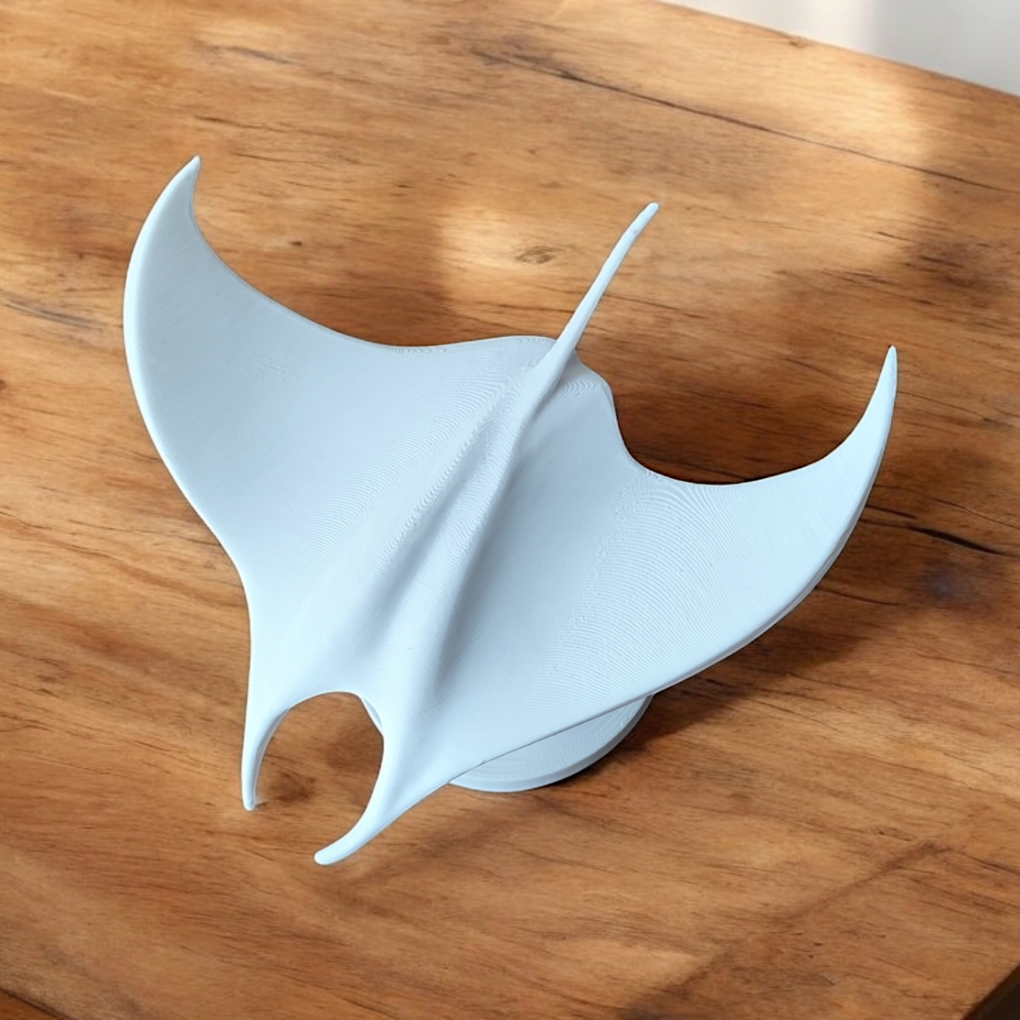 The Manta Sculpture