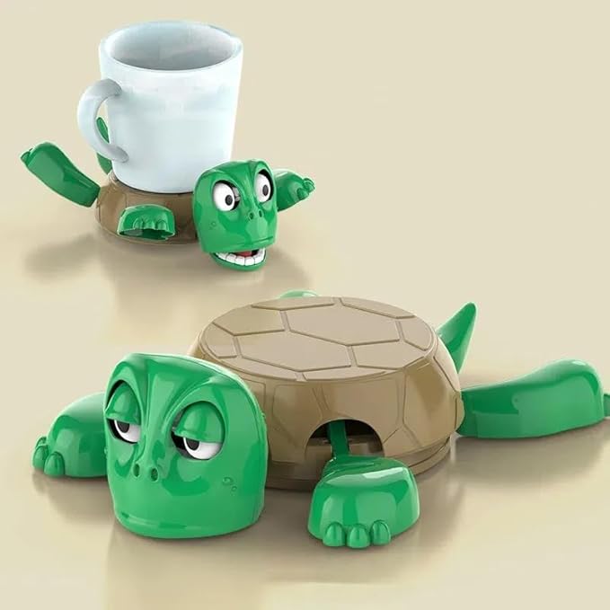 Turtle Coaster