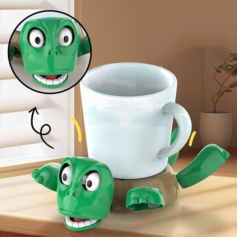 Turtle Coaster